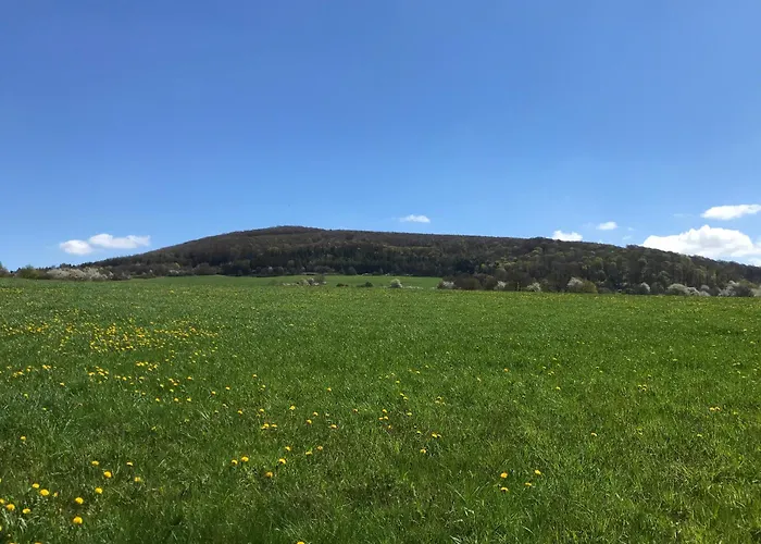 Rhoen - Nestchen