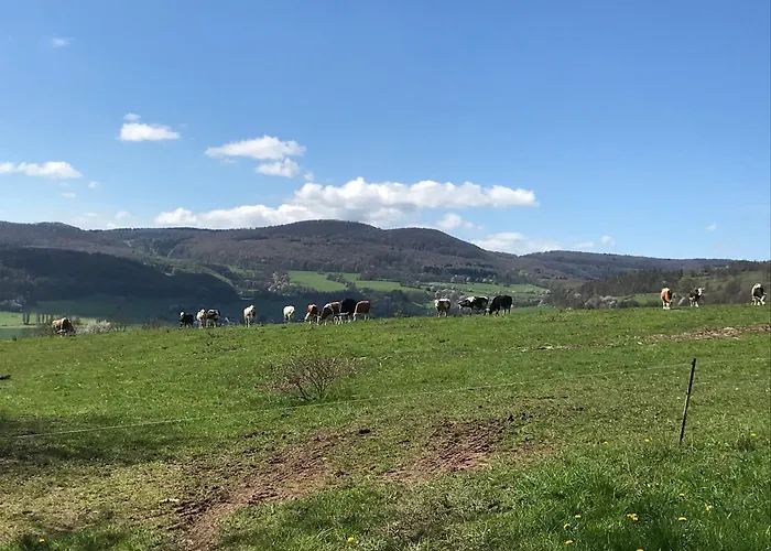 Rhoen - Nestchen