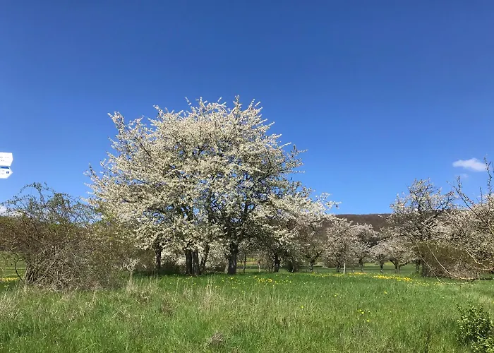 Rhoen - Nestchen