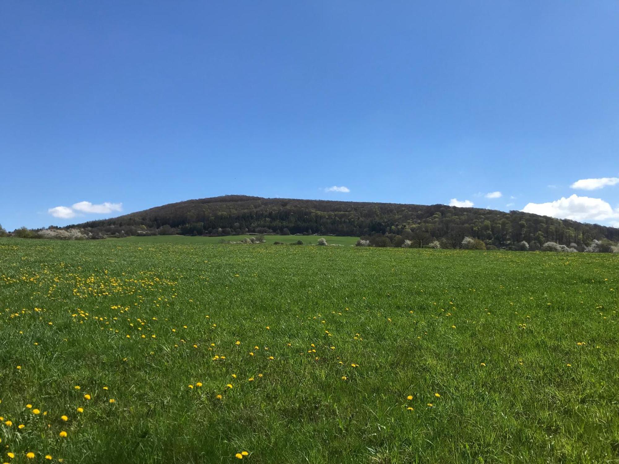 Rhoen - Nestchen